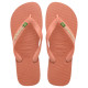 Havaianas Brasil Logo